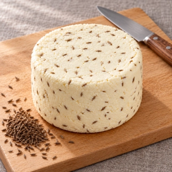 Niewędzony ser podpuszczkowy z kminkiem 1,5 kg na jasnej drewnianej desce z nasionami kminku i nożem.